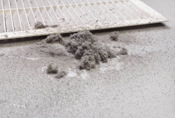 Best Professional Duct Cleaning Services  in Ama, LA