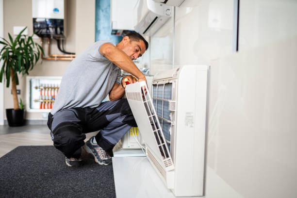 Best Air Duct Sanitizing Services  in Ama, LA