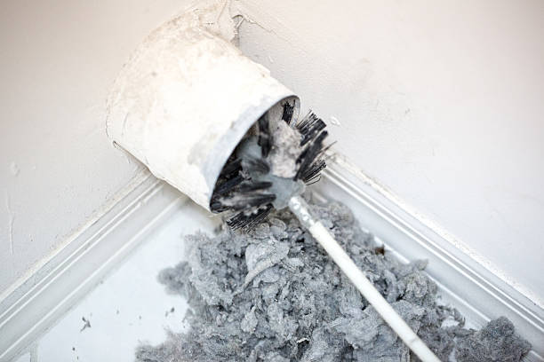Best Commercial Air Duct Cleaning  in Ama, LA
